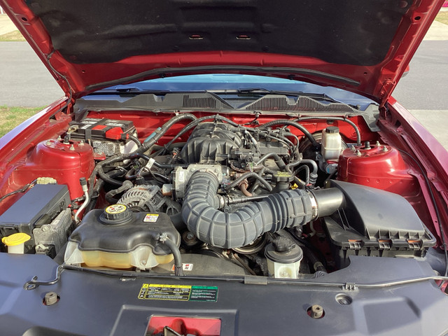 2010 Mustang Convertible in Cars & Trucks in Napanee - Image 3