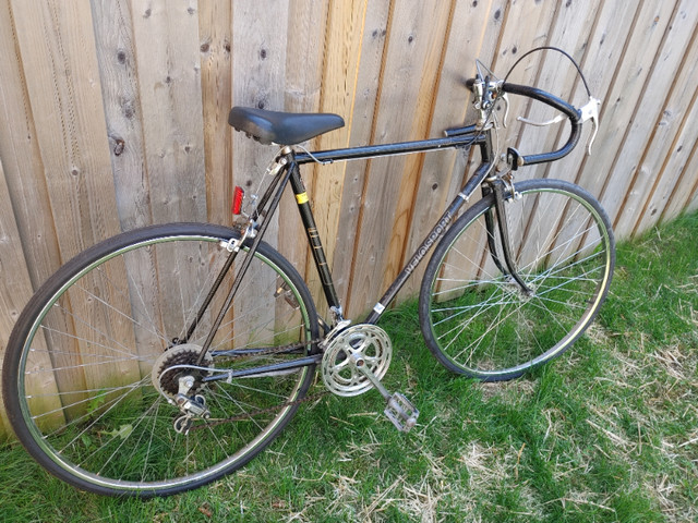 Velosport 10 speed road bike (Lg 22" frame) in Road in Ottawa