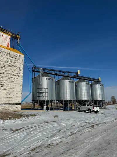 Complete grain handling drag and conveyor system with catwalk and controls. System has been well mai...
