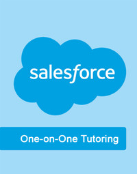Virtual Salesforce Online Training Classes & Job assistance