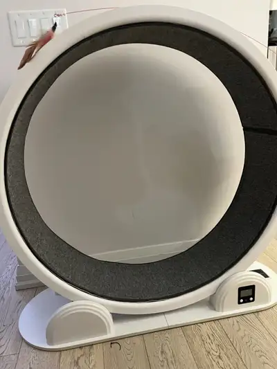 Cat Wheel Treadmill for Indoor Cats, View more