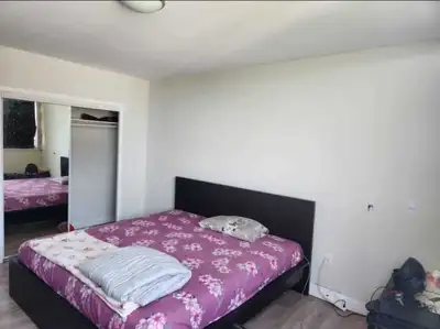 Well furnished a large Shared Bed room for 02 persons is available for rent in apartment. Rent: $450...