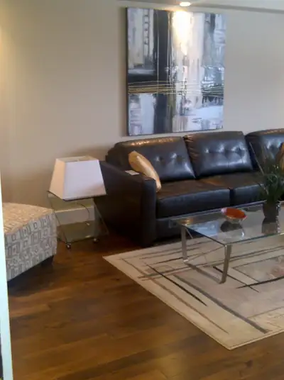 newly remodeled one bedroom condo for rent in Norwood Flats