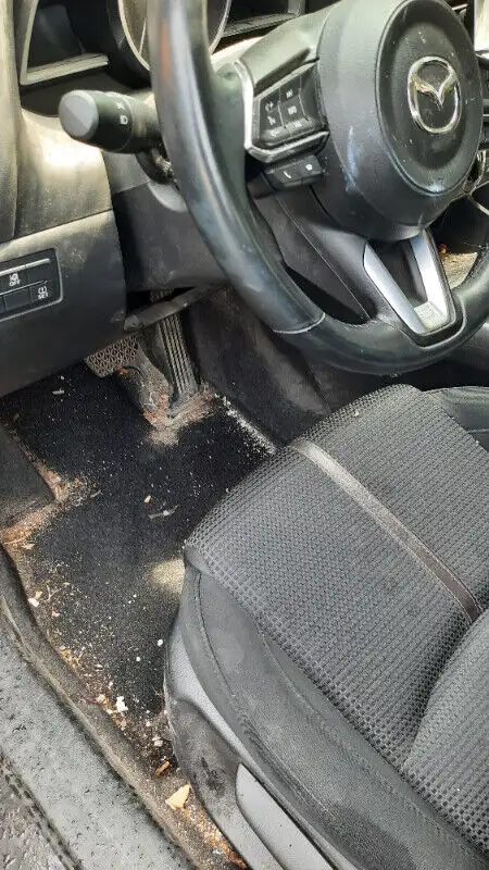 Mobile Interior Car Detailing: ☏437-215-9867 in Detailing & Cleaning in Mississauga / Peel Region - Image 3