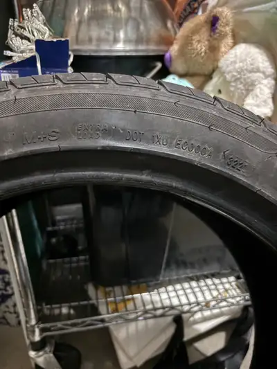 BMW all season tires in good condition