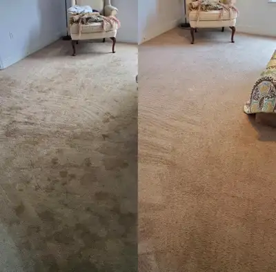 Professional Carpet Cleaning Calgary | Steam Cleaning | Stairs, View more