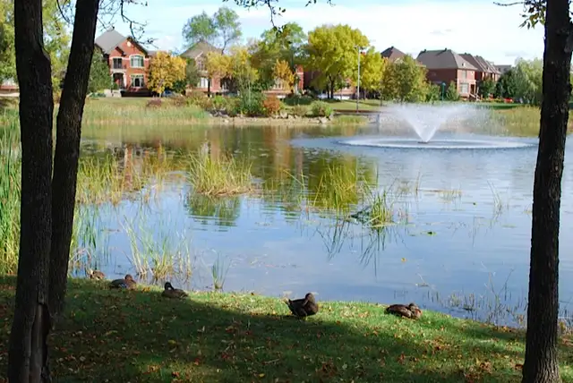 Beautiful Condo Nuns island, Magnifique sur l'île des Soeurs in Condos for Sale in City of Montréal - Image 11