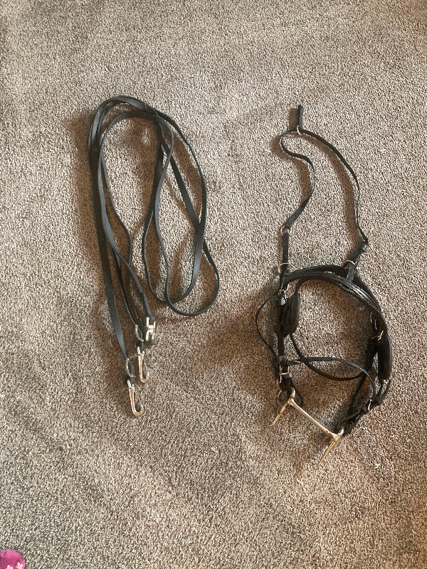 Pony harness in Equestrian & Livestock Accessories in Lloydminster - Image 3