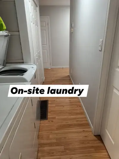 Shared or private room available for July 1st