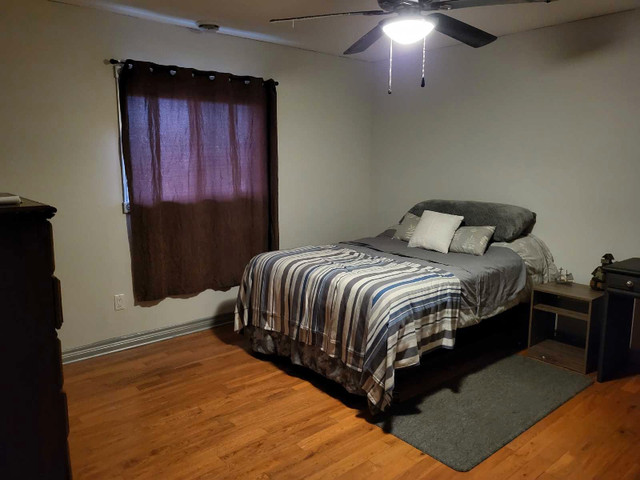 Room for rent in Room Rentals & Roommates in Leamington - Image 2
