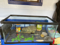 Turtle tank with pump, food and some accessories