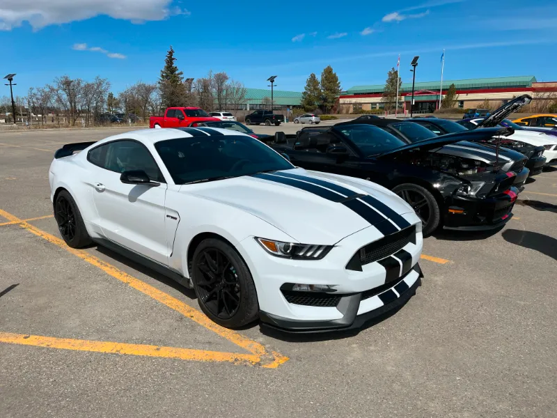 2020 Mustang Shelby GT350 - Extremely Low KMs