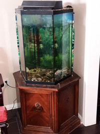 25-Gallon Hexagonal Fish Tank with Stand