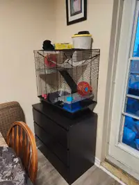 3 tier rat cage (was used for hamster)
