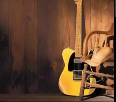 Guitar Player Wanted Country Classic Rock East Coast Duo, View more