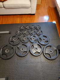 Rubber coated tri-grip weight plates