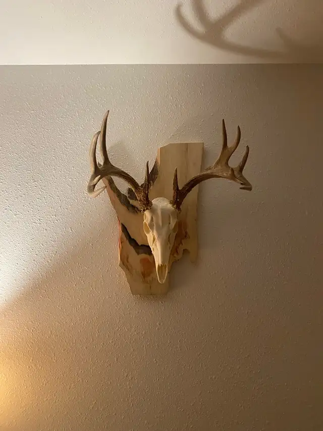 Euro mount in Other in Portage la Prairie - Image 4