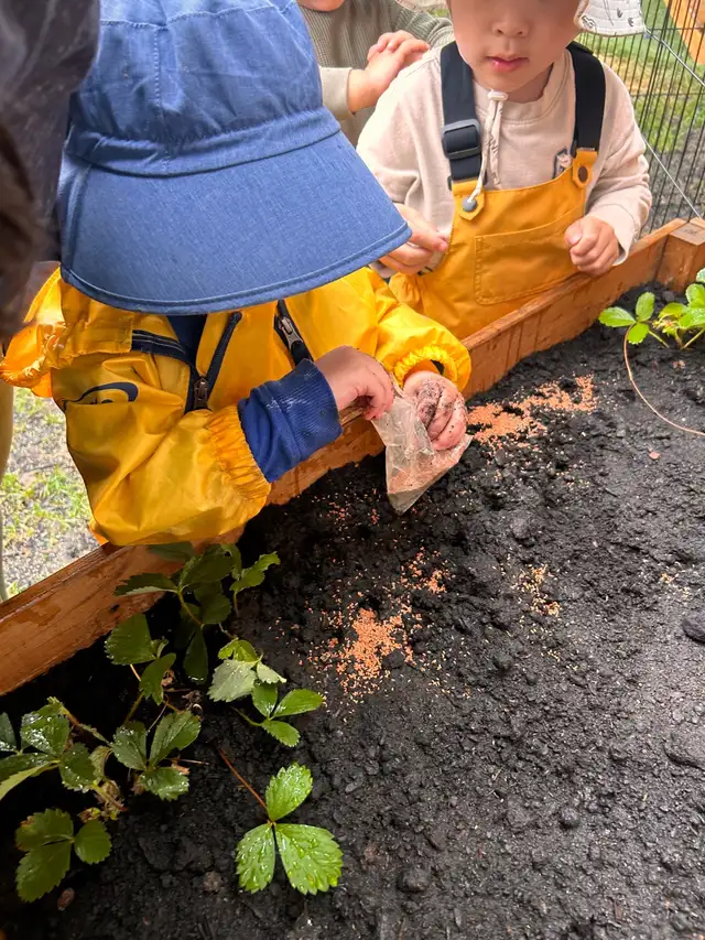 Weekend Nature Program583745252434257923