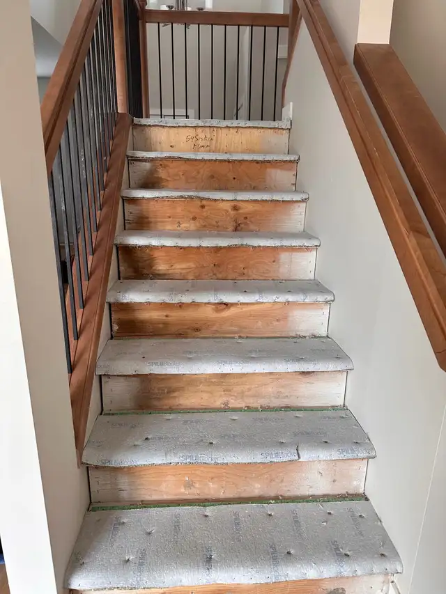 Floor Installation/Repairs559277763588280326