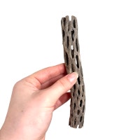Mini Cholla Wood Victoria British Columbia Preview