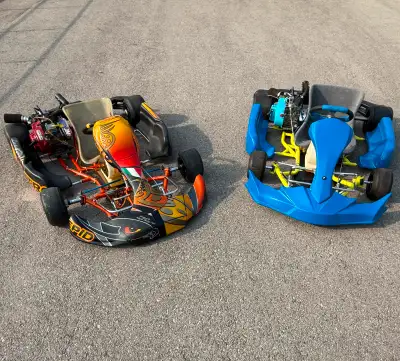For sale is 2 racing go karts, one kart is an Intrepid F4K, the other is a Margay. Both karts have a...