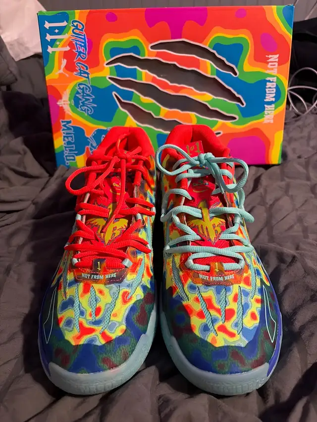 basketball shoes (size 10)