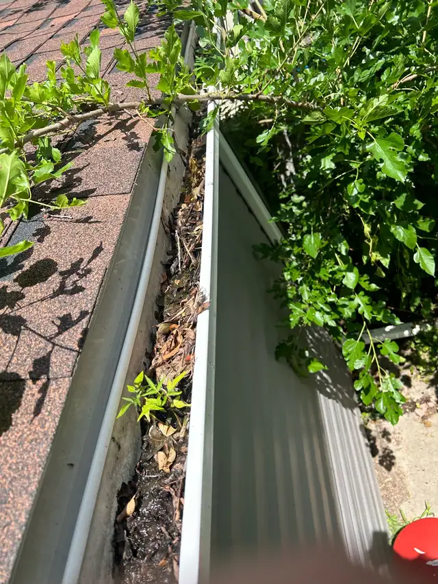 Affordable Gutter Cleaning 419781627746734080