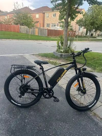 NEW Polarna Electric Bicycle, View more