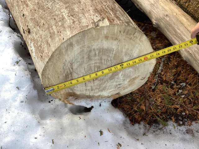 Elm Log 15' long with no knots, good for lumber, furniture? in Other in Kawartha Lakes - Image 4