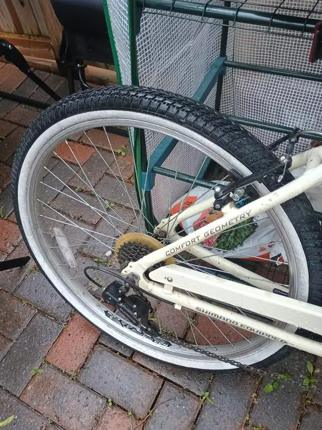 Great Lady leasure road bike in Road in Ottawa - Image 4