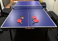 DHS T2024 18 mm table tennis set