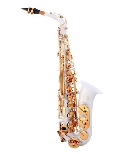 alto saxophone, View more