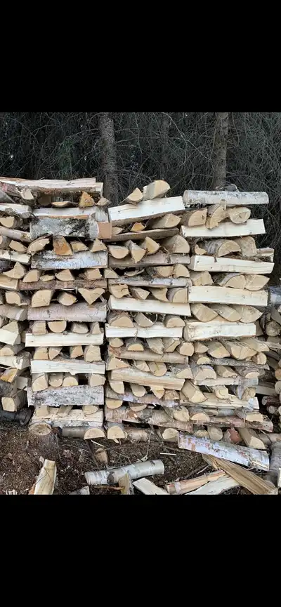 Selling Seasoned Birch Firewood Bags - Cut and Split to 15” lengths - Great source of heat for indoo...