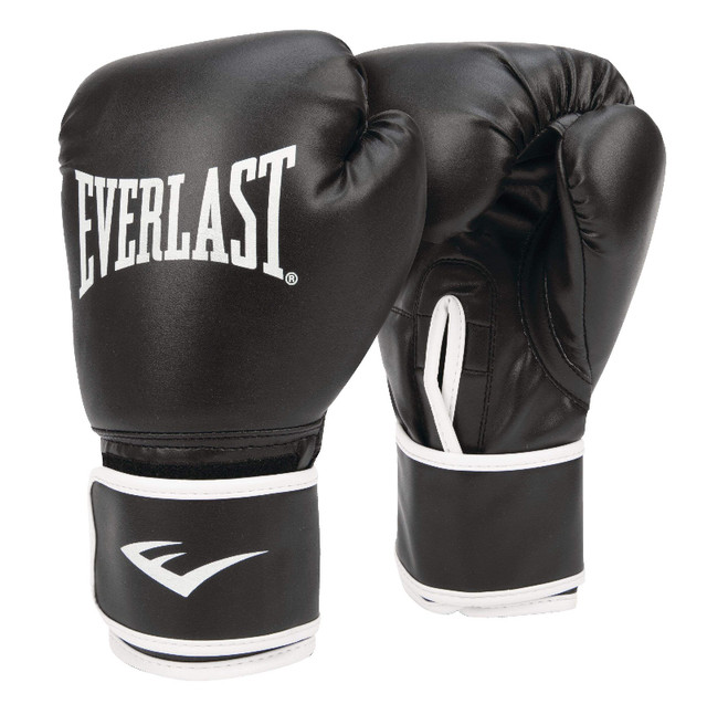 Ensemble de punching bag Everlast 100 lbrs sur stand 360$ dans Autre  à Lévis - Image 4