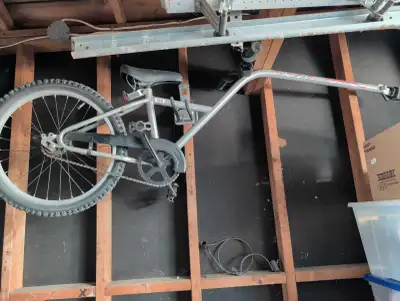 Bike Buddy Trailer Bike, View more
