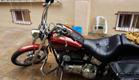 Harley-Davidson softail custom 2009