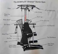 Home gym - bowflex Xtreme 