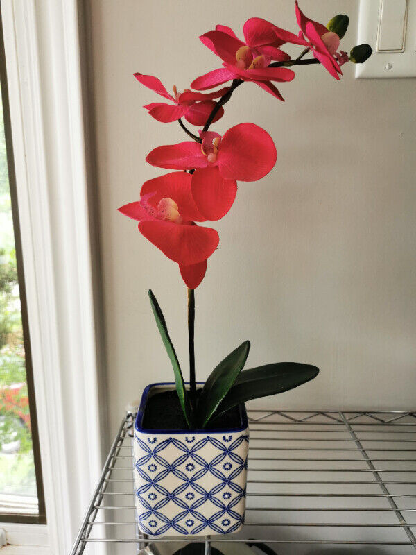 Used, Silk Orchid for sale  