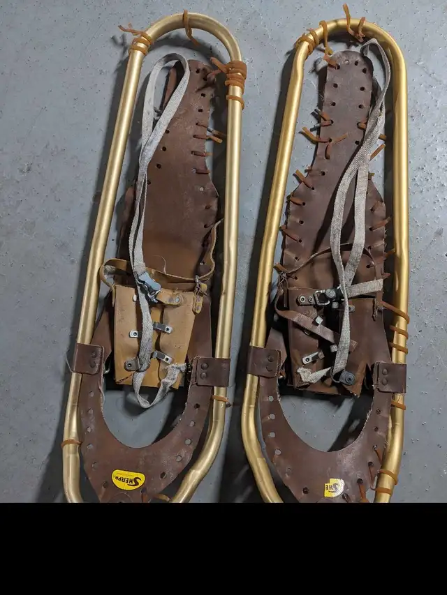 snowshoes, Tuscany NW 62863284405122121