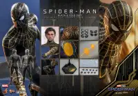 Spider-Man Black & Gold 1:6 Scale NWH Action Figure by Hot Toys