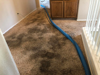 CARPET CLEANING WITH (Advanced Equipment )
