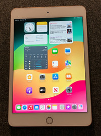 iPad mini 5 64 gb plus case and new glass screen protector