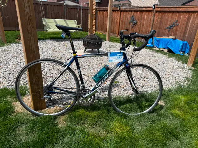 2007 Specialized Bicycle Roubiax 56.5 frame in Mint condition in Road in Barrie - Image 2