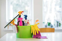 $25 Cleaning service in milton 