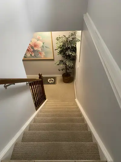 Basement Room for Rent