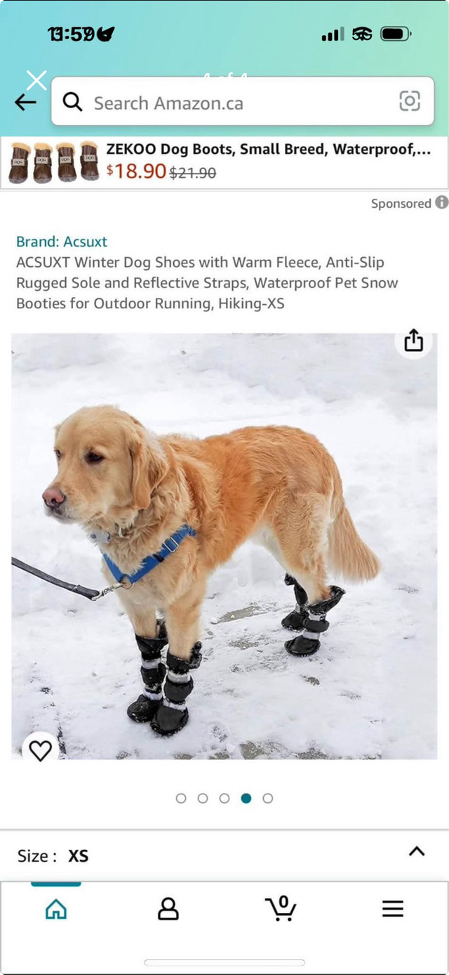 Winter Dog Shoes with Warm Fleece in Accessories in La Ronge