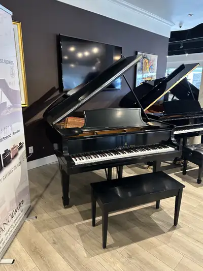 Steinway & Sons Model O, View more