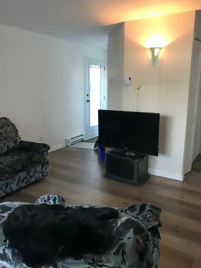 Lévis 4 1/2, style condo, entièrement rénové, sans animaux et non-fumeur. Chauffage, électricité non...