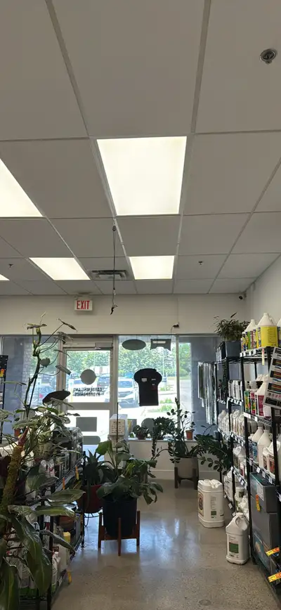 24” x 48” Lyra Plant Based Ceiling Tiles 12 pack = 96sf per box 2 boxes available Esthetically pleas...