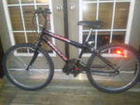 Triump Laser 15 SPD Mountain Bike As New A1